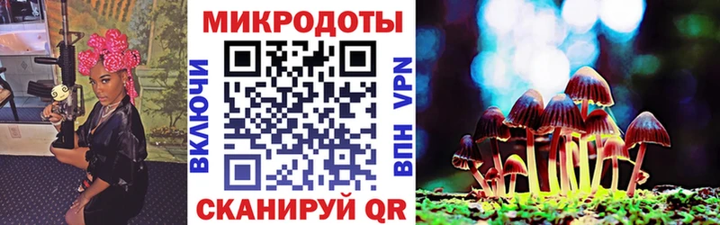 Купить где  Макушино  Псилоцибиновые грибы Magic Shrooms 